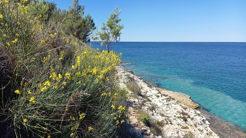 Kamenjak
