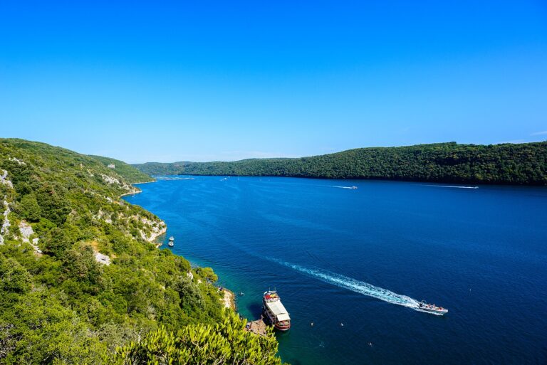 Panoramic view of Lim Bay in Croatia showing the narrow fjord-like inlet surrounded by steep forested slopes.